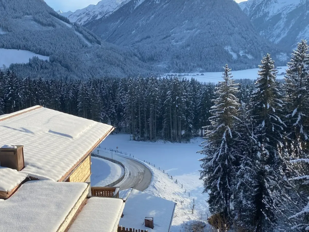 Das verschneite Dach des Chalets von oben, dahinter der Wald und das Tal im Winter